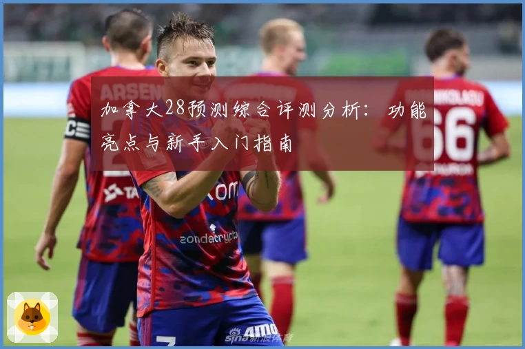 加拿大28预测综合评测分析：功能亮点与新手入门指南