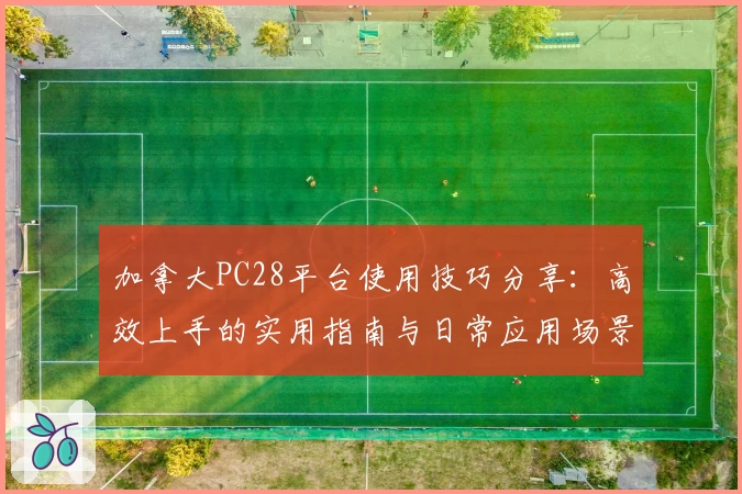 加拿大PC28平台使用技巧分享：高效上手的实用指南与日常应用场景解析