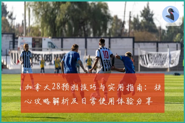 加拿大28预测技巧与实用指南：核心攻略解析及日常使用体验分享