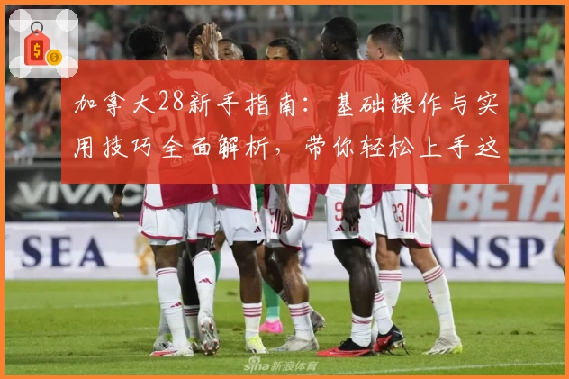 加拿大28新手指南：基础操作与实用技巧全面解析，带你轻松上手这款热门平台