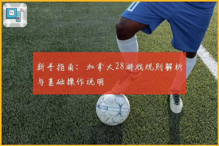 新手指南：加拿大28游戏规则解析与基础操作说明