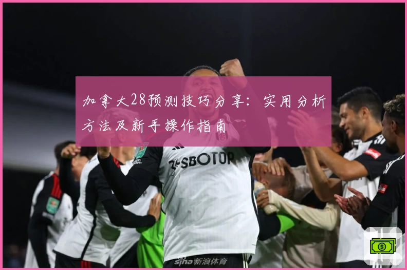 加拿大28预测技巧分享：实用分析方法及新手操作指南