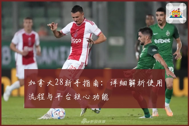 加拿大28新手指南：详细解析使用流程与平台核心功能