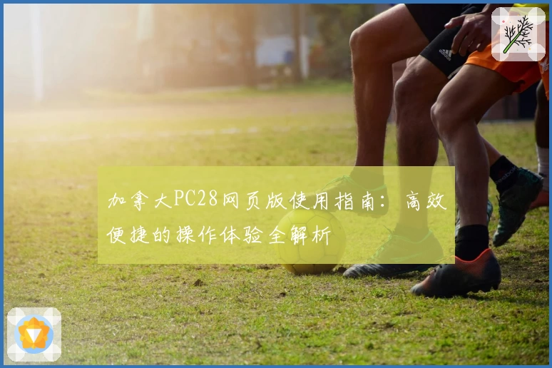 加拿大PC28网页版使用指南：高效便捷的操作体验全解析