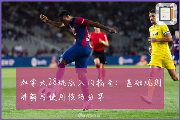 加拿大28玩法入门指南：基础规则讲解与使用技巧分享