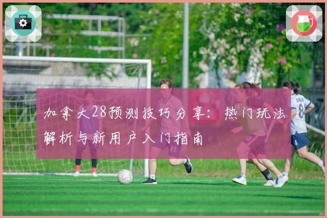 加拿大28预测技巧分享：热门玩法解析与新用户入门指南