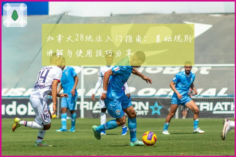 加拿大28玩法入门指南：基础规则讲解与使用技巧分享