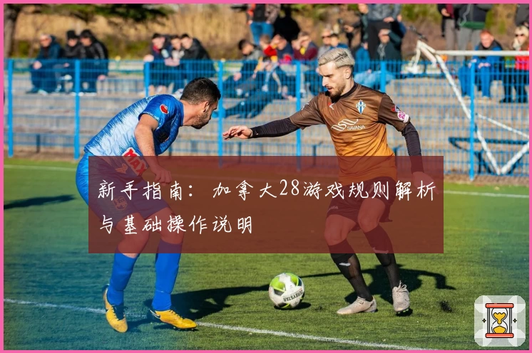 新手指南：加拿大28游戏规则解析与基础操作说明