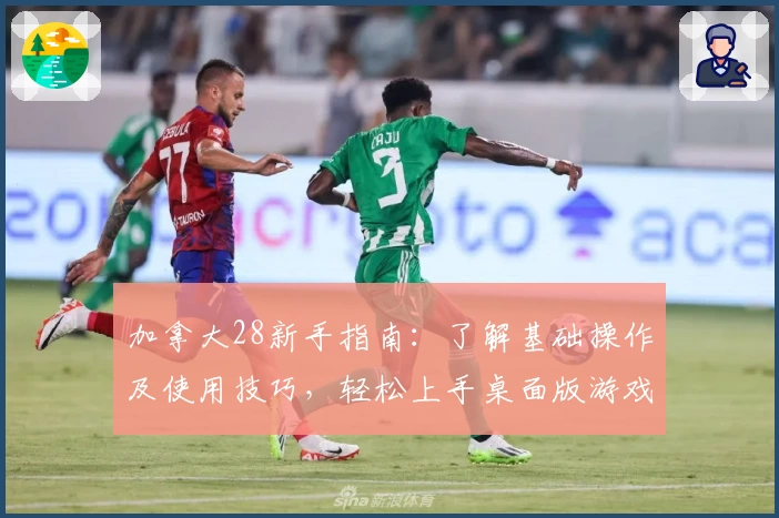 加拿大28新手指南：了解基础操作及使用技巧，轻松上手桌面版游戏体验