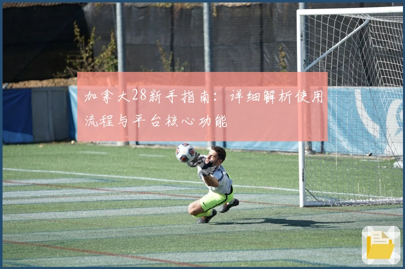 加拿大28新手指南：详细解析使用流程与平台核心功能